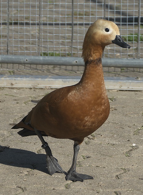 及未来可能
