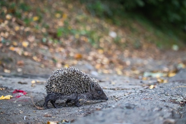 留下的空白 留下的空白