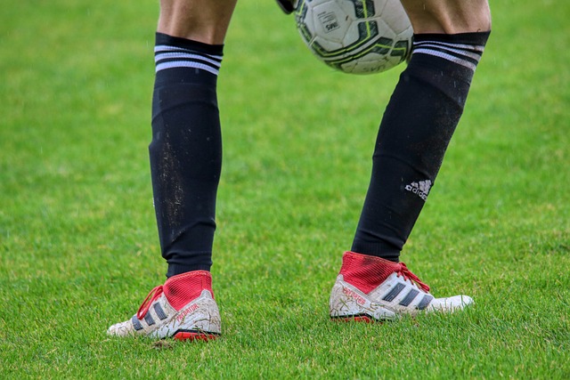 关注明星球 关注明星球