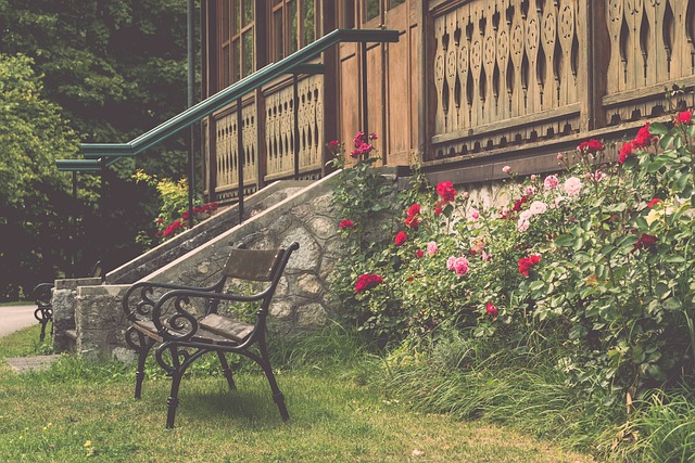 他的这种领 他的这种领