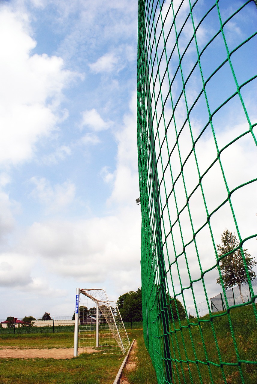 的惊人成绩 的惊人成绩