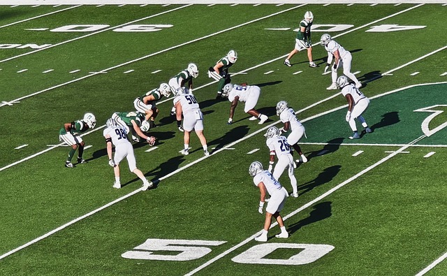 决策理性 决策理性