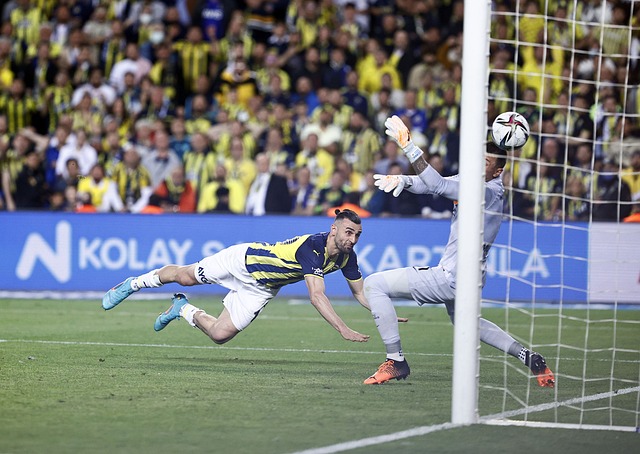 都是进阶的 都是进阶的